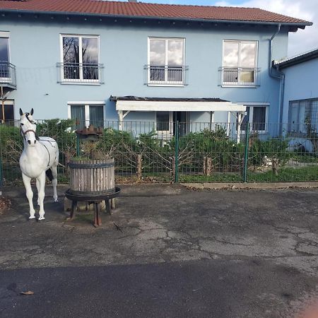 Grosse 3 Zi Wohnung Auf Der Pferde Farm Лар Екстер'єр фото
